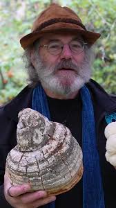 Understanding Cryopreservation in Fungal Specimens