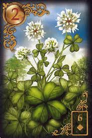 A person who always gets lucky. Meaning Of The Lenormand Tarot Day Card The Clover