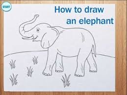 Make a circle that will match the head shape of the image in the video. How To Draw Elephant Youtube