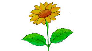 Are you searching for sunflower png images or vector? How To Draw Sunflower For Kids Sunflower Drawing Step By Step Youtube