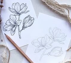 In questa istruzione vi mostriamo come disegnare un bouquet di fiori solamente a matita. Scegliere La Matita Giusta Per Un Buon Disegno Botanico Latuamomis