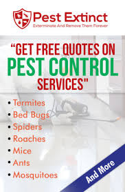 Lindsey pest services has been providing pest control in jacksonville & along the first coast of florida for 60+ years. Find Out How Much Pest Control Costs Near You Compare Pest Control Companies Pest Extinct