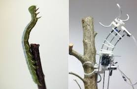 Biomimicry In Action 13 Technologies Inspired By Nature Futuristic Technology Nature Inspiration Bionic Design