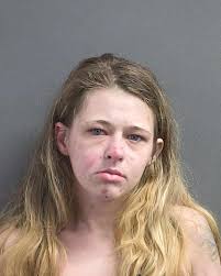 Name: ELLIS KAYLIE SOPHIA 03/03/2003 F W Booking Date: 12/06/2024 Charges:  3x OUT OF COUNTY WARRANT