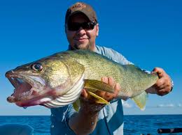 Check spelling or type a new query. The 15 Best Walleye Jigs And Lures How To Use Them
