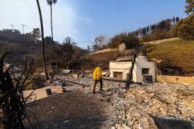 Image result for Radiant Fire 1991 Shadow