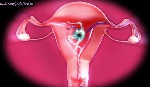 PaleFires creature sex movies - LoversLab