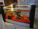 Table aquarium occasion