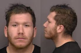 Sheriff Office Booking Search