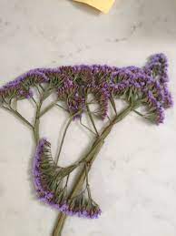 Pin On Garden