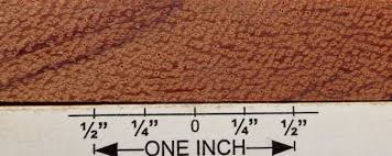 Image result for Berlinia grandiflora