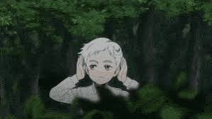 The promised neverland special color page from shonen jump issue #36/37pic.twitter.com/w3sgzc0k8b. Best Promised Neverland Gifs Gfycat