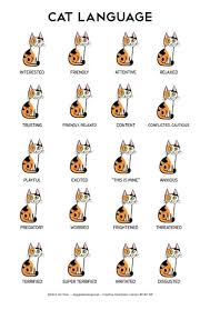 A More Accurate Chart Of Cat Body Language Album On Imgur