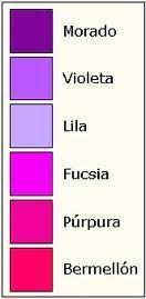Purple hex/rgb color code = #800080 = 128*65536+0*256+128 = (128,0,128) Translation Of Purple Spanishdict Answers