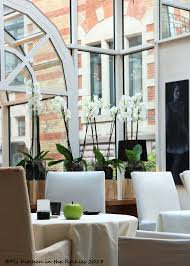 Announcing A Culinary Trip To Heidelberg Baden Baden And Strasbourg