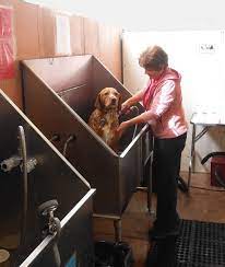 We found 101 results for do it yourself dog wash in or near sacramento, ca. Self Serve Self Washing Dog Wash Station In Santa Fe At The Critters Me