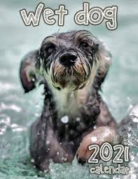 Our 2021 calendars are on sale now online so dont miss out on your copies! Wet Dog 2021 Calendar Paperback Pyramid Books