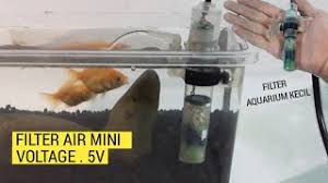 Aquarium ikan cupang dari botol bekas , video gun ae kali ini memanfaatkan barang bekas berupa botol kaca bensin yang. Cara Membuat Filter Aquarium Mini Dari Botol Bekas