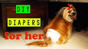 Dog On Her Period Care Dog Menstrual Diy Diapers Dog S Heat Cycle Youtube