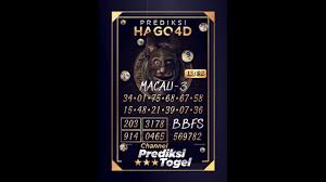 Disertai prediksi jitu berdasarkan statistik dan ai. 9 Ide Result Keluaran Togel Terakurat Setiap Hari Sydney Buku 17 Desember