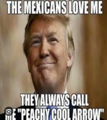 20 top Bebidas Típicas Mexicanas ideas in 2024