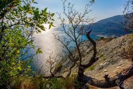 Of jy nou hier woon of van plan is om vir 'n besoek te reis, op tinder sal jy baie plaaslike inwoners naby jou kan vind. Schone Aussicht Auf Das Schwarze Meer In Der Nahe Des Dorfes Durso Region Krasnodar Russland Lizenzfreie Fotos Bilder Und Stock Fotografie Image 53923234