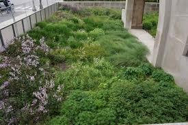 Designed by a professional and maintained by a crew, they are aspirational bits of beauty too difficult to know maintenance perennial garden. Gardens At The Art Institute Of Chicago Art Institute Of Chicago Chicago Design Art Institutes