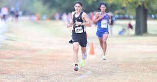 Area runners earn top-10 finishes at state cross country meet