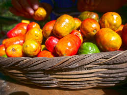 Popular dish to have as a snack while having drinks. 20 Best Food In El Salvador