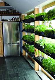 Perfect Indian Apartment Balcony Garden Ideas Only In Shopy Home Design Home Garden Design Herb Garden In Kitchen Home