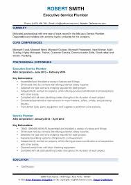 Check out the pronunciation, synonyms and grammar. Plumber Helper Resume Samples Qwikresume