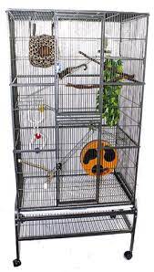 Suggested Cage Requirements Exotic Nutrition Explore 16 listings for sugar gliders cages for sale at best prices. suggested cage requirements exotic