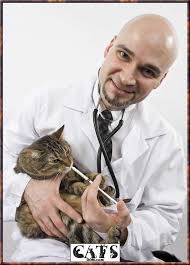 Check spelling or type a new query. How To Deworm A Cat Or Kitten Yourself At Home 8 Steps