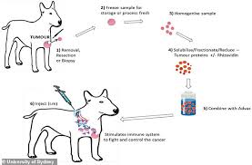 In some cases, the cancer can weaken a bone, causing it to break (fracture) easily after a minor injury or fall. Greyhound S Fatal Cancer Cured By Injection Of Vaccine Made From Her Own Tumor At Sydney University Daily Mail Online