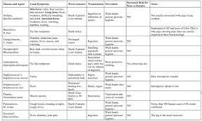 Zoonotic Diseases In Mini Pigs Mini Pig Info