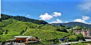 Book cameron highlands hotels online at cheap rates. Peony Tea View Kualaterla Cameron Highlands Wifi Apartments For Rent In Tanah Rata Pahang Malaysia