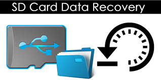 You can download the online software by clicking the download button to start. How To Recover Deleted Files From Sd Card Safe Tricks
