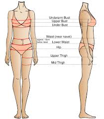 If you have a little padding of plush under your bust and above your waist, measure that at its most generous curve. Find My Bra Size Online Satami Lingerie