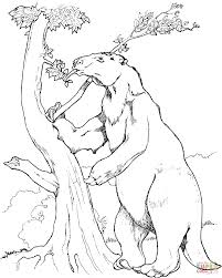 Stone age animals coloring pages. 19 Color Animals Extinct Ideas Giant Sloth Mammoth Animals