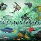 London Aquaria Society - Fall Auction event image