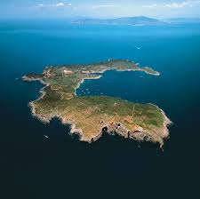 Image result for Verde Giannutri 2008 147