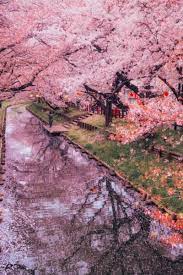 Hanson Mao Landscape Landscape Photography Nature Photography