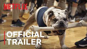 Dogs Season 2 Trailer Coming To Netflix July 7 2021 In 2021 Dogs Netflix Official Trailer