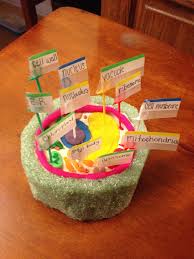 20 Plant Cell Model Ideas Your Students Find Them Interesting Cell Model Plant Cell Project Plant Cell Model