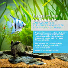 African Cichlid Aquarium Setup Guide | Hi-Tek Aquariums