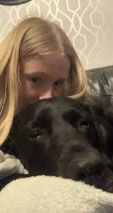 Here's my boy, young Reacher, he's 11 mths now. He's a happy wee fella, n  such a mummy's boy. He's slimmer built than all other labs iv had, but well  just like