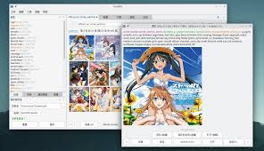 Imgbrd Grabber，大量下載Danbooru動漫圖片的好用APP · Ivon的部落格