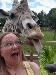 Anxiously waiting as you round that final bend…get ready to close out your  Preserve safari in style👀 After you explore four paddocks, traverse three  miles of roadway, and say hello to Tank