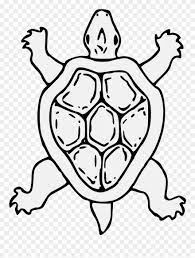 Umumnya bus memiliki bentuk mobil tetapi memiliki bentuk yang sangat. Tortoise Gambar Kura Kura Kartun Hitam Putih Clipart 1217185 Pinclipart