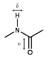 Check spelling or type a new query. Structure Of Nhco Group Of Any Protein Download Scientific Diagram